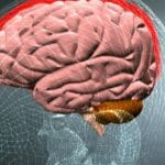 Meningite… sempre più casi in Italia. Ecco come proteggersi! Meningite