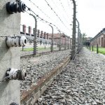 Giornata della Memoria #4books per non dimenticare