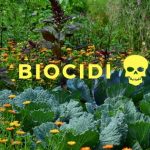 I Biocidi sono tra noi, e stavano capitando per sbaglio nel mio orto! rocima mb2x biocide