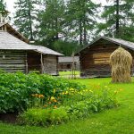 Come coltivare un orto biologico spettacolare, 10 regole da seguire come coltivare orto biologico