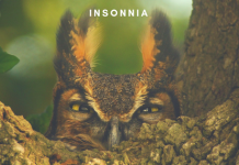 Insonnia, rimedi naturali per dormire meglio insonnia - esistere bene