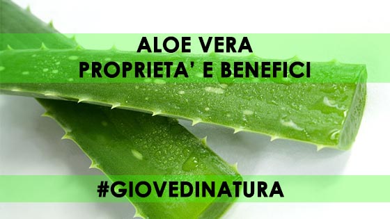 ALOE VERA PROPRIETà E BENEFICI