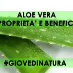 Aloe vera proprietà e controidicazioni ALOE VERA PROPRIETà E BENEFICI