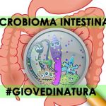 Microbioma intestinale, che cos’è? MICROBIOMA INTESTINALE