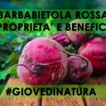 Barbabietola, proprietà e benefici BARBABIETOLA ROSSA PROPRIETA' E BENEFICI