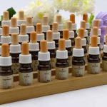 I fiori di Bach, cosa sono? fiori-di-bach-terapia---esistere-bene