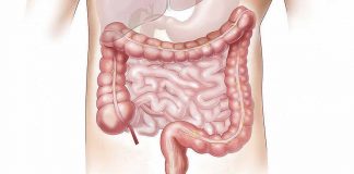 Intestino e sistema nervoso Sindrome dell'intestino irritabile rimedi Naturali