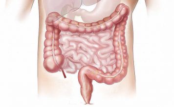 Intestino e sistema nervoso Sindrome dell'intestino irritabile rimedi Naturali