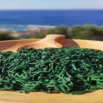 Alga Spirulina, proprietà e benefici naturali alga spirulina benefici