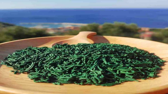 alga spirulina benefici
