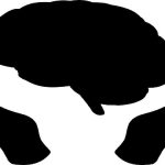 Lo stomaco… dal punto di vista simbolico