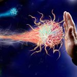 Come rinforzare le difese immunitarie… naturalmente come rinforzare il sistema immunitario