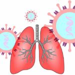 Il Polmone In Medicina Tradizionale Cinese polmone in medicina tradizionale cinese