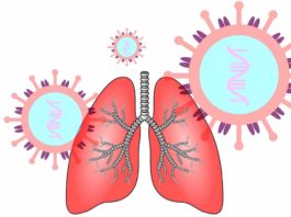 polmone in medicina tradizionale cinese