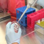 Covid-19, La Lattoferrina è efficace per contrastarlo lattoferrina covid-19