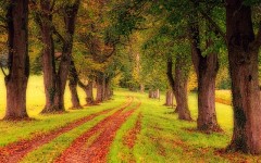 Naturopatia Naturopata Gaia Bassi